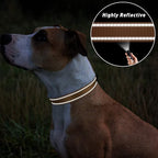 TagME Reflective Nylon Dog Collars, Adjustable Classic Collar - Image 5