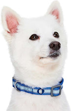 Blueberry Pet Small Dog Collar in Reflective Navy Blue | Adjustable Nylon Strap - Image 3
