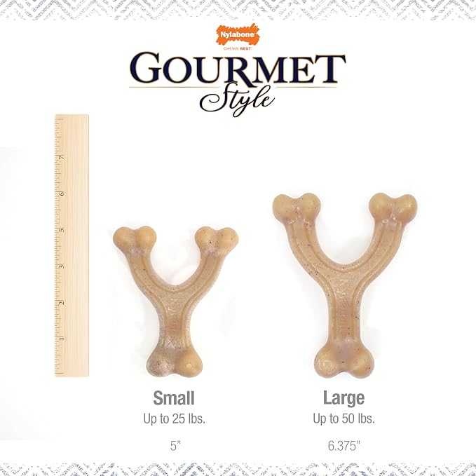 Nylabone Gourmet Style Wishbone Strong Chew Toy - Image 4