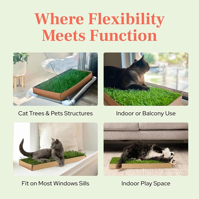 Kitty Lawn Real Grass Cat Window Perch - Image 8