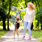 QDAN Dog Soccer Balls Toy with Bell Inside, Outdoor Interactive Toys - Image 4