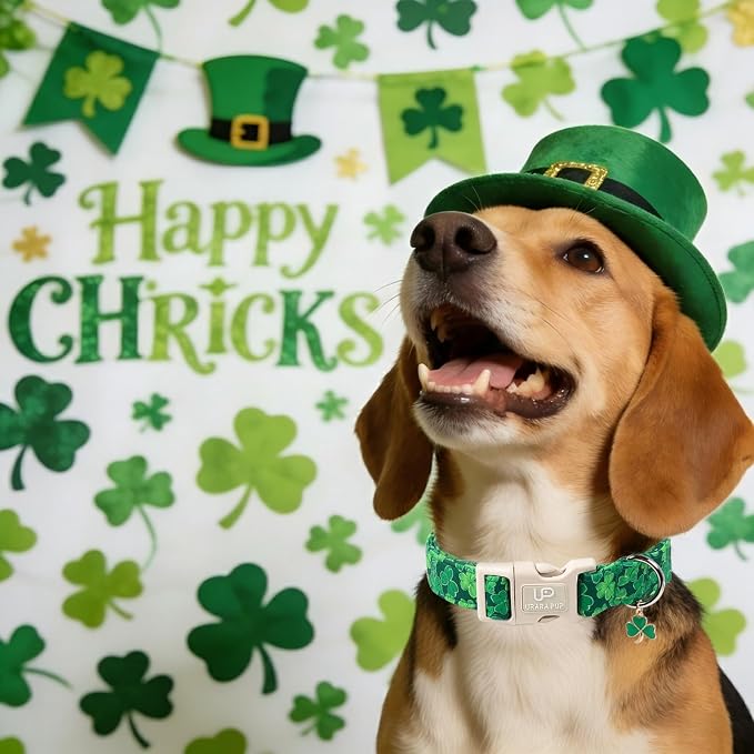 St. Patrick's Day Dog Collar, UP URARA PUP Shamrock Adjustable Pet Collar - Image 5