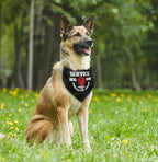 Dog Bandana, Service Dog Bandana, Dogs Scarf Classical Printing, Dogs Scarf - Image 4