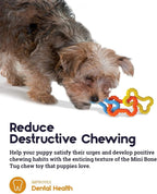 Petstages Mini Bone Tug Puppy Chew Toy - Image 5