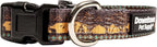 Downtown Pet Supply - Image 2