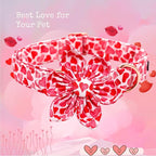 Lionheart glory Valentine's Day Dog Collar - Image 4