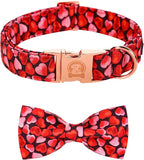 MR. CHUBBYFACE Valentines' Dog Collar by MrChubbyfacePetSupplies