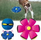 FlidRunest 2PCS Pet Toy Flying Saucer Ball, Flying Saucer Balls Dog Toy by BADWALT