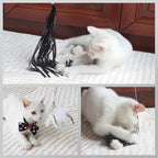 SONGWAY Cat Wand Toys for Indoor Cats - Image 6