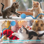 Interactive Cat Dog Toy Ball: Indoor Small Automatic Moving Smart Rolling Fun - Image 9