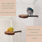 4 Pack Bird Perches for Cage - Image 2