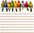Sintuff 8 Pcs Bird Perches for Cage Accessories, Wooden Perch Rods Replacement by Sintuff