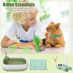Eccliy Kitten Starter Kit, Pet Toy, Folding Carrier, Climbing Frame, Automatic - Image 4