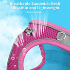 AIITLE Easy Walk Dog Harness and Leash Set - Image 9