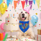 Birthday Boy Dog Bandana, Printed Dog Bandana Pet Scarf Dog Birthday Party - Image 2