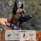 2026 Upgrade Waterproof AirTag Dog Collar, Military Tactical Dog Collar - Image 6