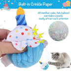 BINGPET Cat Birthday Catnip Toys - Image 3