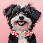 Valentines Dog Collar for Medium Dogs - Image 7