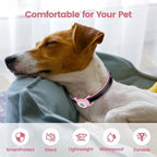 Smart Pet Tracker for Collar - Image 5