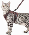 Cat Harness and Leash Set Escape Proof Tactical Small Kitten Harness Emotional by pangdi