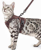 Cat Harness and Leash Set Escape Proof Tactical Medium Kitten Harness Emotional by pangdi