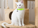 12 PCS Breakaway Cat Collars - Image 7