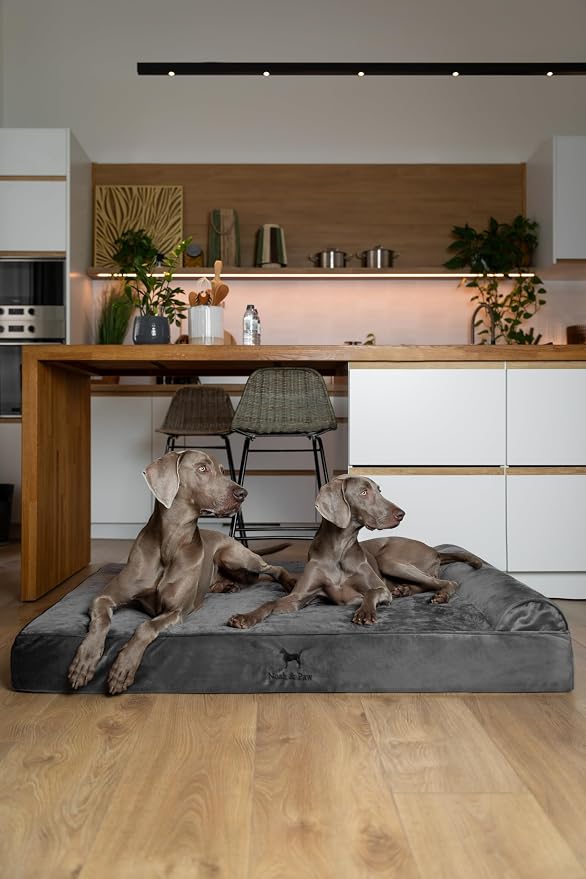 NOAH & PAW Giant Dog Bed XXL 55x45x9.5 Inch, Orthopedic Dog Beds, Eggshell - Image 7