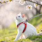 SCENEREAL Cat Harness and Leash Set Escape Proof, Adjustable Soft Air Mesh - Image 6