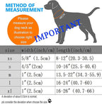 DOGWONG Easter Dog Collar - Image 6
