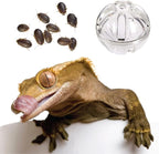 Bearded Dragon Feeder Toy Reptile Foraging Ball Lizard Enrichment Interactive - Image 5