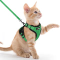rabbitgoo Cat Harness and Leash by rabbitgoo