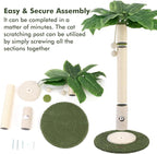 Cat Scratching Post for Indoor Cats and Kitten - Image 7