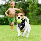 Baby Coming Soon Announcement Dog Bandana Gender Reveal Baby Announcement Pet - Image 5