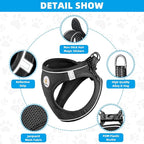 Hipubby Dog Harness and Leash Set, No Pull Soft Mesh Puppy Harness - Image 3