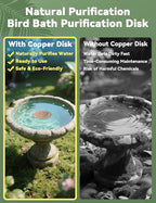CNARIO Copper Disk for Bird Baths, Bird Baths 99.99% Pure Copper Cleaning Disk - Image 2