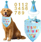 Dog Birthday Party Supplies - Image 2