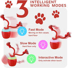 Interactive Dog Toy, Motion Activated Rolling Squeaky Ball - Image 3