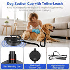 Dog Bathing Suction Cup with Tether, High Elasticity Nylon Dog Bathing Tether - Image 3