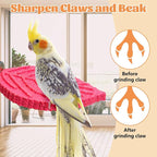 3 Pcs Bird Perch Resin Bird Beak Grinding Stone Leaf Shape Perch Stand Foot - Image 5