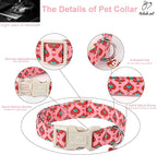 Valentines Dog Collar for Small Dogs - Image 5