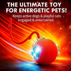Purrmitive 2026 Durable Interactive Cat Toys - Image 8