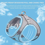 AIITLE Easy Walk Dog Harness and Leash Set - Image 9