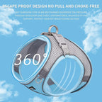 AIITLE Step in Dog Harness and Leash Set - Image 9