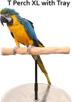 Parrot Training Perch Stand - Image 2