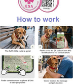 QR Code Dog Tag, QR Code Pet ID Tag, Dog ID Tag, Small Cat - Image 5