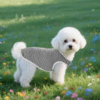 3 Pcs Cat Shirts Solid Color Dog Clothes Summer Sleeveless Stripe Pet T Shirts - Image 6