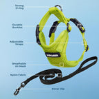 Voyager Escape-Proof Step-in Lock Cat Harness & 5ft Neoprene-Handle Leash Set - Image 3