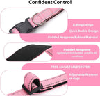 Reflective Dog Collar Padded - Image 4