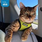Best Pet Supplies Voyager Step-in Air Harness - Image 10