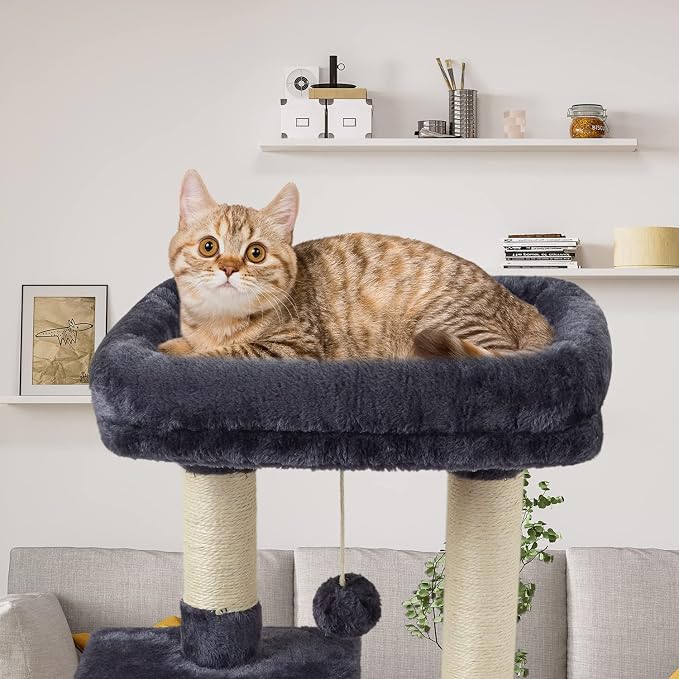 FISH&NAP Cute Cat Tree Kitten Cat Tower - Image 3